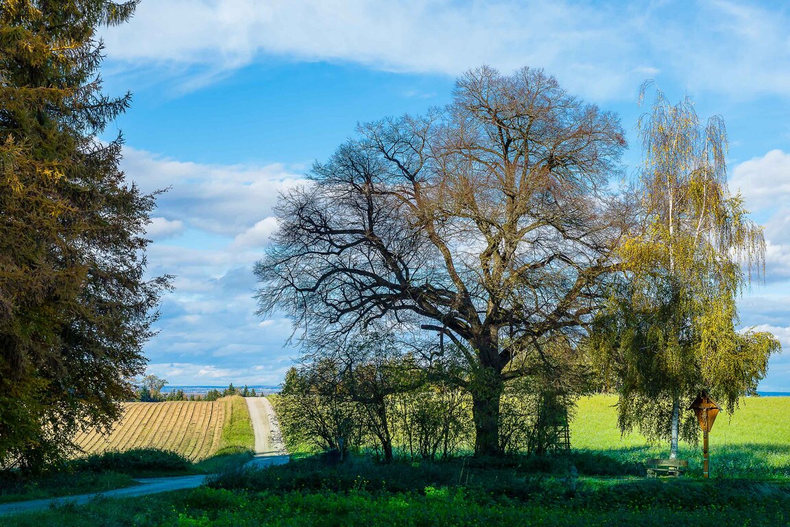 Image: 13_JA_1517 Bonhart.jpg